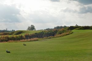 Old Barnwell 17th
